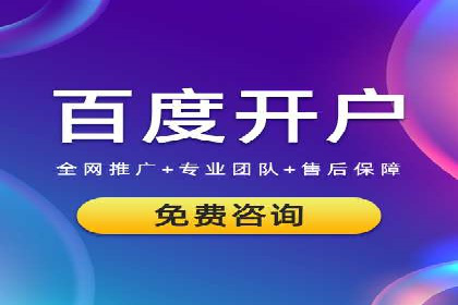 竞价托管sem的胜利果实：某零售商的营销策略